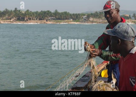 Die Fischer in ihren offenen Boot angeln in den frühen Morgen. Sie Schaufel von Netz zu Netz Ihre verfangen, Kokrobite, Greater Accra Region, Ghana zu holen Stockfoto