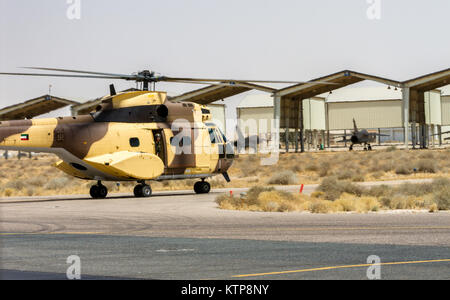 Ein Kuwait Air Force SA330 Puma Helikopter landet nach einem Personal Recovery Übung mit einer UH-60 Black Hawk von Unternehmen C geflogen, 1st Battalion, 214Th Air Ambulance, 42th Combat Aviation Brigade (CAB), die am 19. Juni 2014, in Kuwait. 42 CAB und kuwaitische Kräfte führen regelmäßig Joint Aviation Partnerschaften ihre Fähigkeit, auf Notfälle zu reagieren, zu verbessern. Der 42 CAB, New York Army National Guard, ist nach Kuwait zur Unterstützung der Operation Enduring Freedom eingesetzt. (N.Y. Army National Guard Foto von Sgt. Harley Jelis/Freigegeben) Stockfoto