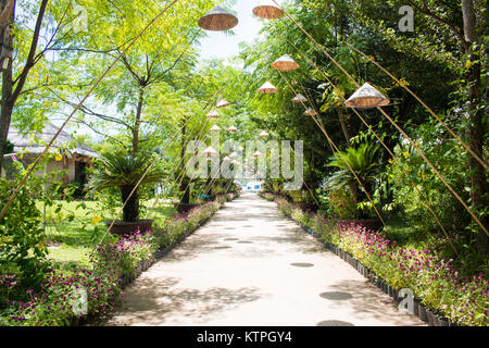 Sommer im Park Bäume Gasse Stockfoto