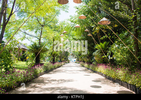 Sommer im Park Bäume Gasse Stockfoto