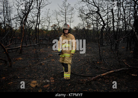 WESTHAMPTON BEACH, NY-Senior Airman Brandon L. Ehlers, ein Feuerwehrmann mit der 106 Rettung Flügel, Sprays, eine verbrannte Fläche von Holz mit Wasser am 21. August 2015. Mehrere Behörden und Feuerwehren reagierten auf einen großen brushfire in diesem Bereich. Feuerwehrmänner von um die 106 besucht für Hotspots zu prüfen, die ernste Besorgnis der ansonsten trockenen Wetters der letzten Woche gegeben. Die vier Hektar große Feuer zerstört eine große Schwade von Land außerhalb FS Gabreski ANG nur aus alten Westhampton Beach Road, die eine multi-Agentur Reaktion, einschließlich acht Bürste Lkw, sieben Tankschiffe und 14 verschiedenen Abteilungen w Stockfoto