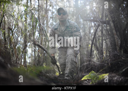 HOMESTEAD AIR RESERVE BASE, Florida - Tech Sgt. Jamie Bustamant, ein Mitglied der 106 Rettung Flügel, Pausen in den Sumpf während eines taktischen Bewegung Kurs an der Homestead Air Reserve Base, Florida, 18. Januar 2016. Während dieser Ausbildung, Aircrew Mitglieder gewonnen Refresher Schulung zur Verwendung ihrer Not Radios, taktischen Bewegungen durch difficiult Gelände, wie Unterstände zu bauen, Wege, um Brände zu bauen, und Methoden zur Umgehung der Feind. (US Air National Guard/Staff Sergeant Christopher S. Muncy/freigegeben) Stockfoto