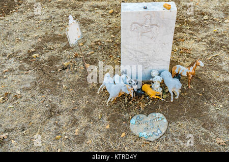 Zwei Jahre altes Kind Grabstein am haunted und verlassene Adelaida Friedhof. Der Friedhof wurde von Wesley Burnett in den späten 1800er Jahren und ist Rath Stockfoto