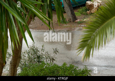 Blick durch ein Fenster auf palmwedel und eine verregnete Straße während eines Sommer Regen in Cala Murada, Mallorca, Spanien. Stockfoto