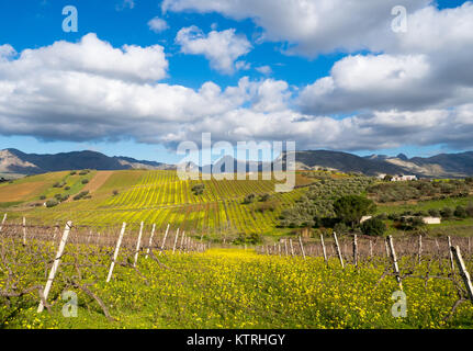 Sizilianischen Landschaft, Camporeale, Sizilien, Italien, 12.26.2017 Stockfoto