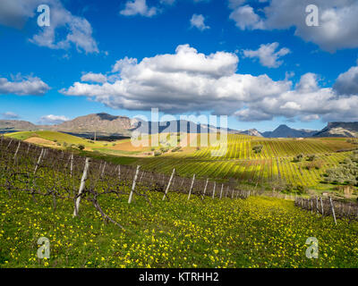 Sizilianischen Landschaft, Camporeale, Sizilien, Italien, 12.26.2017 Stockfoto