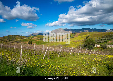 Sizilianischen Landschaft, Camporeale, Sizilien, Italien, 12.26.2017 Stockfoto