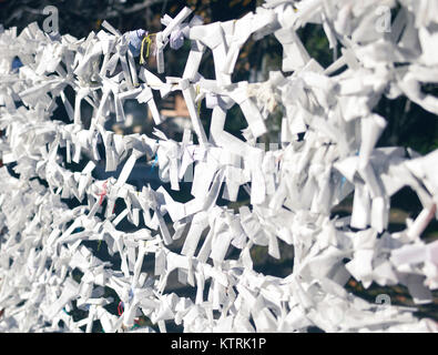 O-mikuji Papierstreifen mit schriftlicher Vermögen auf yasui Konpiragu Shinto Schrein in Gion Distrikt, Kyoto, Japan 2017 gebunden. Stockfoto