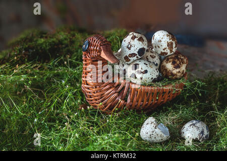 Wachteleier liegen in einem schönen Korb in der Form eines Vogels auf dem grünen Gras vor der Lackierung. Die horizontalen Rahmen. Stockfoto