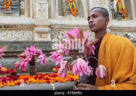 Porträt von einem buddhistischen Mönch, der mit einem Angebot von Lotus Blumen an der Mahabodhi Tempel in Bodhgaya, Indien Stockfoto