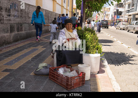 Otavalo, Ecuador-December 23, 2017: Ndigenous Frau Erbsen Verkauf auf der Straße Stockfoto