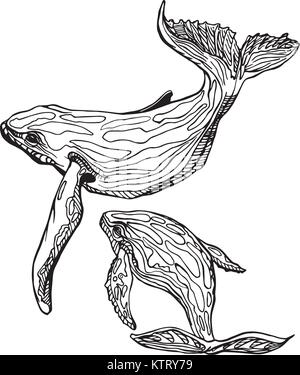 Hand-Drawn Doodle von Mutter und Sohn Wal. Vector Illustration - Vektor. Stock Vektor