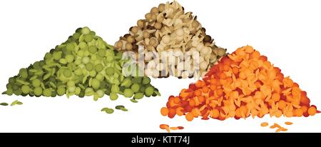 Verschiedene Arten von Linsen Pfähle gesetzt Stock Vektor