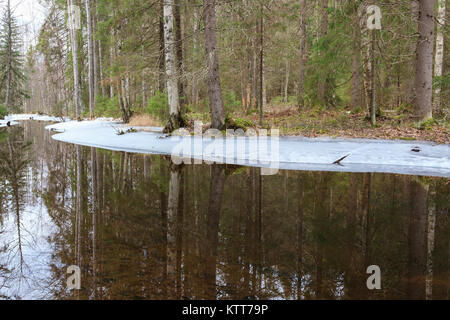 Fluß teilweise gefrorenen Wald Stockfoto