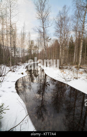 Fluß teilweise gefrorenen Wald Stockfoto