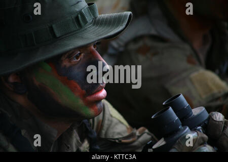 SHOALWATER BAY, Queensland, Australien - Pfc. Joshua Aponte, ein infanterist an Charlie Truppe, 2.BATAILLON, 101 Cavalry Squadron zugeordnet, Erhebungen der Strand von einem Beobachtungsposten während der Übung Talisman Sabre, Juli 14. Während der Woche lange Reihe von Krieg spiele Soldaten aus Charlie Truppe eingerichtet screening Positionen entlang der Küste freundliche Kräfte von feindlichen Schiffen, die eine plötzliche Erscheinen zu unterrichten. (U.S. Army National Guard Foto von Sgt. Alexander Rektor) Stockfoto