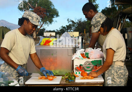 SHOALWATER BAY, Queensland, Australien - Pfc. Kericiann Thompson, Pfc. Jamson Audate und SPC. Yulisbeth Cammarono, drei kulinarische Spezialisten Alpha Company, 427th Brigade Support Battalion, slice Gemüse zugewiesen, während die Zubereitung von Mahlzeiten für mehr als 700 Service Mitglieder während der Übung Talisman Sabre, Juli 15. Während der Übung, eine Reihe von Krieg Spiele, New York Army National Guard Soldaten kämpften gegen, und neben den Australischen und Neuseeländischen Personal. (U.S. Army National Guard Foto von Sgt. Alexander Rektor) Stockfoto