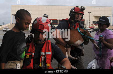 Air Force Senior Airman John J. Kosequat und Staff Sgt. Ryan R. Dush, sowohl pararescuemen mit der 103 Rescue Squadron der 106 Rettung Flügel an der New York Air National Guard zugewiesen, einem Kind und Hund ein HH-60 Pave Hawk Hubschrauber in der Montagne Mitte in Beaumont, Texas, 30. August 2017. (U.S. Air National Guard Foto von Airman 1st Class Daniel H. Farrell) Stockfoto