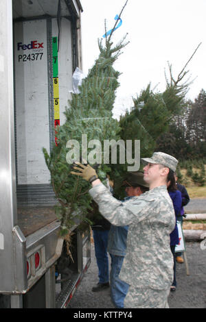 CHARLETON, New York - New York Army National Guard SPC. Raymond Gonzalez freiwillige Weihnachtsbäume hier an Ellms Baumbauernhöfe Nov. 28 laden. Gonzalez und weitere sechs Soldaten freiwillig in den jährlichen "Bäume für Truppen" Laden der über 115 Bäume für militärische Einrichtungen und Familien um das Land und die Welt gebunden zu unterstützen. Us-Armee Foto von Oberstleutnant Richard Goldenberg, NY Army National Guard (freigegeben) Stockfoto