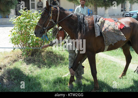 Sgt. 1. Klasse Pete Padgett, schwere Waffen Firma Mentor für die 5. Zone afghanische Grenzpolizei Sicherheit Kraft Hilfe team zu der 37th Infantry Brigade Combat Team zugewiesen, Schecks über ein Pferd während der letzten Mission auf den 5 Kandak in Khawajah Bahawuddin, Provinz Badakhshan, Afghanistan, 27. Juni 2012. Padgett, die Pferde zurück besitzt in seinem Haus in Eatonville, Washington, geholfen, die 5 Kandak Soldaten, um zu entscheiden, welche Pferde von lokalen Bauern für berittene Patrouille des Kandak der tadschikischen Grenze setzen zu kaufen. (37 IBCT Foto von Sgt. Kimberly Lamm) (freigegeben) Stockfoto