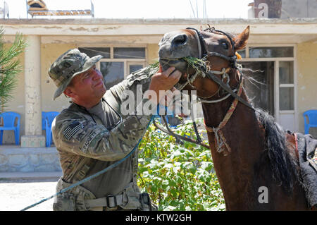 Sgt. 1. Klasse Pete Padgett, schwere Waffen Firma Mentor für die 5. Zone afghanische Grenzpolizei Sicherheit Kraft Hilfe team zu der 37th Infantry Brigade Combat Team zugewiesen, Schecks über ein Pferd während der letzten Mission auf den 5 Kandak in Khawajah Bahawuddin, Provinz Badakhshan, Afghanistan, 27. Juni 2012. Padgett, die Pferde zurück besitzt in seinem Haus in Eatonville, Washington, geholfen, die 5 Kandak Soldaten, um zu entscheiden, welche Pferde von lokalen Bauern für berittene Patrouille des Kandak der tadschikischen Grenze setzen zu kaufen. (37 IBCT Foto von Sgt. Kimberly Lamm) (freigegeben) Stockfoto