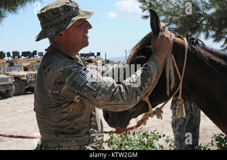 Sgt. 1. Klasse Pete Padgett, schwere Waffen Firma Mentor für die 5. Zone afghanische Grenzpolizei Sicherheit Kraft Hilfe team zu der 37th Infantry Brigade Combat Team zugewiesen, Schecks über ein Pferd während der letzten Mission auf den 5 Kandak in Khawajah Bahawuddin, Provinz Badakhshan, Afghanistan, 27. Juni 2012. Padgett, die Pferde zurück besitzt in seinem Haus in Eatonville, Washington, geholfen, die 5 Kandak Soldaten, um zu entscheiden, welche Pferde von lokalen Bauern für berittene Patrouille des Kandak der tadschikischen Grenze setzen zu kaufen. (37 IBCT Foto von Sgt. Kimberly Lamm) (freigegeben) Stockfoto