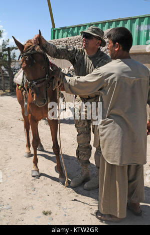 Sgt. 1. Klasse Pete Padgett, schwere Waffen Firma Mentor für die 5. Zone afghanische Grenzpolizei Sicherheit Kraft Hilfe team zu der 37th Infantry Brigade Combat Team zugewiesen, Schecks über ein Pferd während der letzten Mission auf den 5 Kandak in Khawajah Bahawuddin, Provinz Badakhshan, Afghanistan, 27. Juni 2012. Padgett, die Pferde zurück besitzt in seinem Haus in Eatonville, Washington, geholfen, die 5 Kandak Soldaten, um zu entscheiden, welche Pferde von lokalen Bauern für berittene Patrouille des Kandak der tadschikischen Grenze setzen zu kaufen. (37 IBCT Foto von Sgt. Kimberly Lamm) (freigegeben) Stockfoto