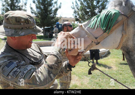 Sgt. 1. Klasse Pete Padgett, schwere Waffen Firma Mentor für die 5. Zone afghanische Grenzpolizei Sicherheit Kraft Hilfe team zu der 37th Infantry Brigade Combat Team zugewiesen, Schecks über ein Pferd während der letzten Mission auf den 5 Kandak in Khawajah Bahawuddin, Provinz Badakhshan, Afghanistan, 27. Juni 2012. Padgett, die Pferde zurück besitzt in seinem Haus in Eatonville, Washington, geholfen, die 5 Kandak Soldaten, um zu entscheiden, welche Pferde von lokalen Bauern für berittene Patrouille des Kandak der tadschikischen Grenze setzen zu kaufen. (37 IBCT Foto von Sgt. Kimberly Lamm) (freigegeben) Stockfoto