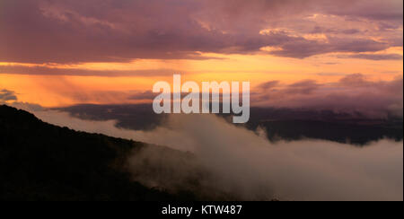 Die dicken Nebel Rollen in über Mount Magazine, in Paris, Arkansas Stockfoto