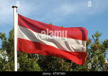 Österreichische Fahne weht im Wind Stockfoto