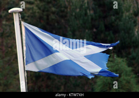 Tattered schottische Flagge weht im Wind Stockfoto