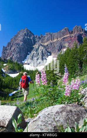 Backpacker im Canyon Creek Wiesen außerhalb Schwestern Oregon Stockfoto