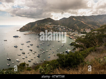 Hafen von Avalon auf Catalina Island Stockfoto