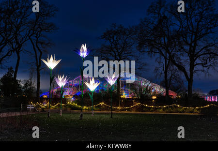 Weihnachtsbeleuchtung in und außerhalb der Glashaus. RHS Wisley Gardens, Surrey, England. Weihnachten Leuchten Festival 2017 Stockfoto