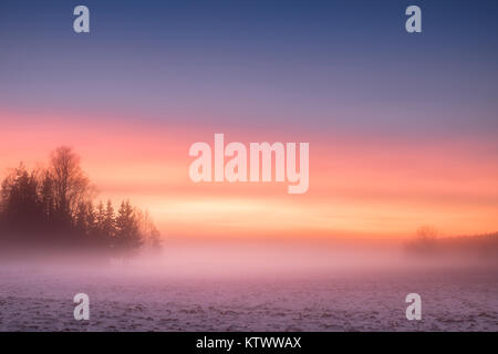 Neblig und bunten Sonnenuntergang mit friedlichen Landschaft im Winter abends in Finnland Stockfoto