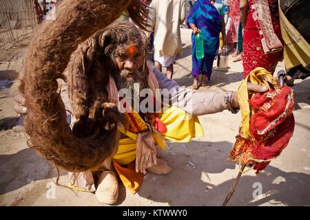 Sadhu mit enormen dreadlock Geflecht in 2013 Kumbha Mela in Allahabad (prayag) Stockfoto