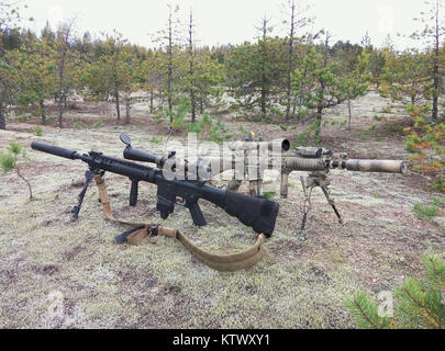 Sturmgewehren auf dem Hintergrund der Pinienwälder und Sand. Eines der Gewehre in der Wüste Farbe lackiert. Stockfoto