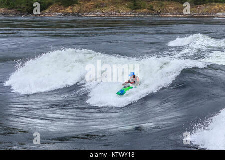 Als das Wasser um ihn herum Butterfässer, ein Extrem-kajakfahrer reitet das Gesicht eines großen, schnellen Wellen in Sechelt Rapids, BC, eines der schnellsten Gezeiten der Welt vor sich geht. Stockfoto