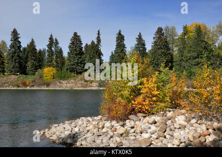 Herbstlandschaften am Bow River, Bowness Park, Calgary, Alberta, Kanada. Stockfoto