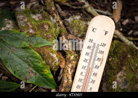 Thermometer mit kalten Temperaturen auf der Spitze des Berges in Thailand Stockfoto