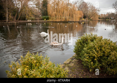 Ropner Park, Stockton-on-Tees, Großbritannien Stockfoto