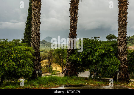 Bewölkten Tag Palmen und Vegetation auf der Insel Zakynthos im Hintergrund sehen Sie das Ionische Meer und die Umrisse der Insel Marathonisi auf Stockfoto