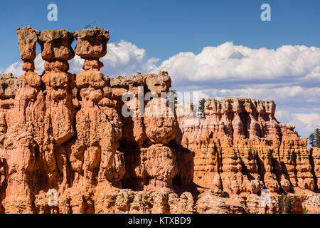 Anzeigen von hoodoo Formationen von den Navajo Loop Trail im Bryce Canyon National Park, Utah, Vereinigte Staaten von Amerika, Nordamerika Stockfoto