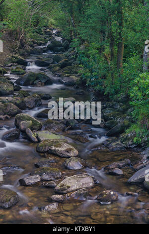 Owengarriff Fluss, Nationalpark Killarney, County Kerry, Munster, Republik Irland, Europa Stockfoto