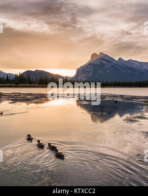 Morgen Landschaft im Vermilion Lakes, Banff Nationalpark, UNESCO-Weltkulturerbe, kanadische Rockies in Alberta, Kanada, Nordamerika Stockfoto