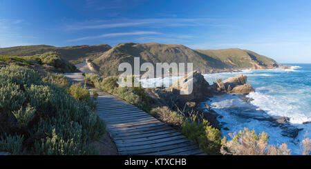 Robberg Naturreservat, Plettenberg Bay, Western Cape, Südafrika, Afrika Stockfoto