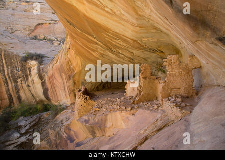 Anasazi Ruinen, Monarch Höhle, Butler waschen, in der Nähe von Bluff, Utah, Vereinigte Staaten von Amerika, Nordamerika Stockfoto