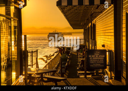 Bainbridge Fähre und Möwen am Pier 54 Während der Goldenen Stunde vor Sonnenuntergang, Alaskan Way, Downtown, Seattle, Washington State, Vereinigte Staaten von Amer Stockfoto