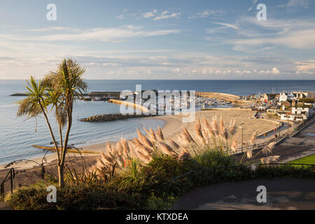 Blick über den Cobb und Strand von Langmoor und Lister Gärten, Lyme Regis, Dorset, England, Vereinigtes Königreich, Europa Stockfoto