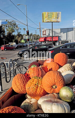 Kürbisse und Kürbisse zum Verkauf an Halloween außerhalb Trader Joes Supermarkt in der Nähe von Silver Lake Los Angeles Kalifornien USA KATHY DEWITT Stockfoto